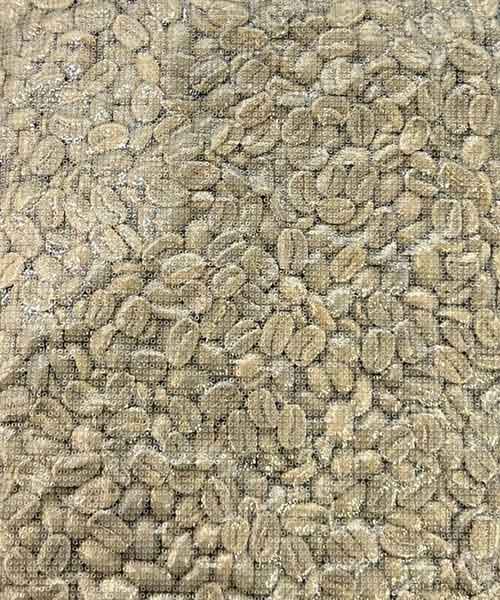 Arabica FW spesialty