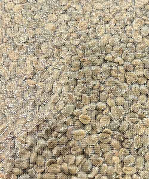 Arabica SW Grade 1