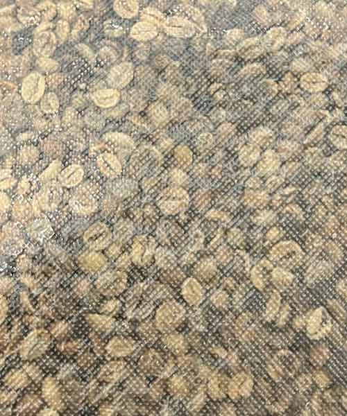 Robusta Grade 3